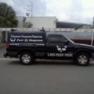 Vehicle Graphics & Wraps